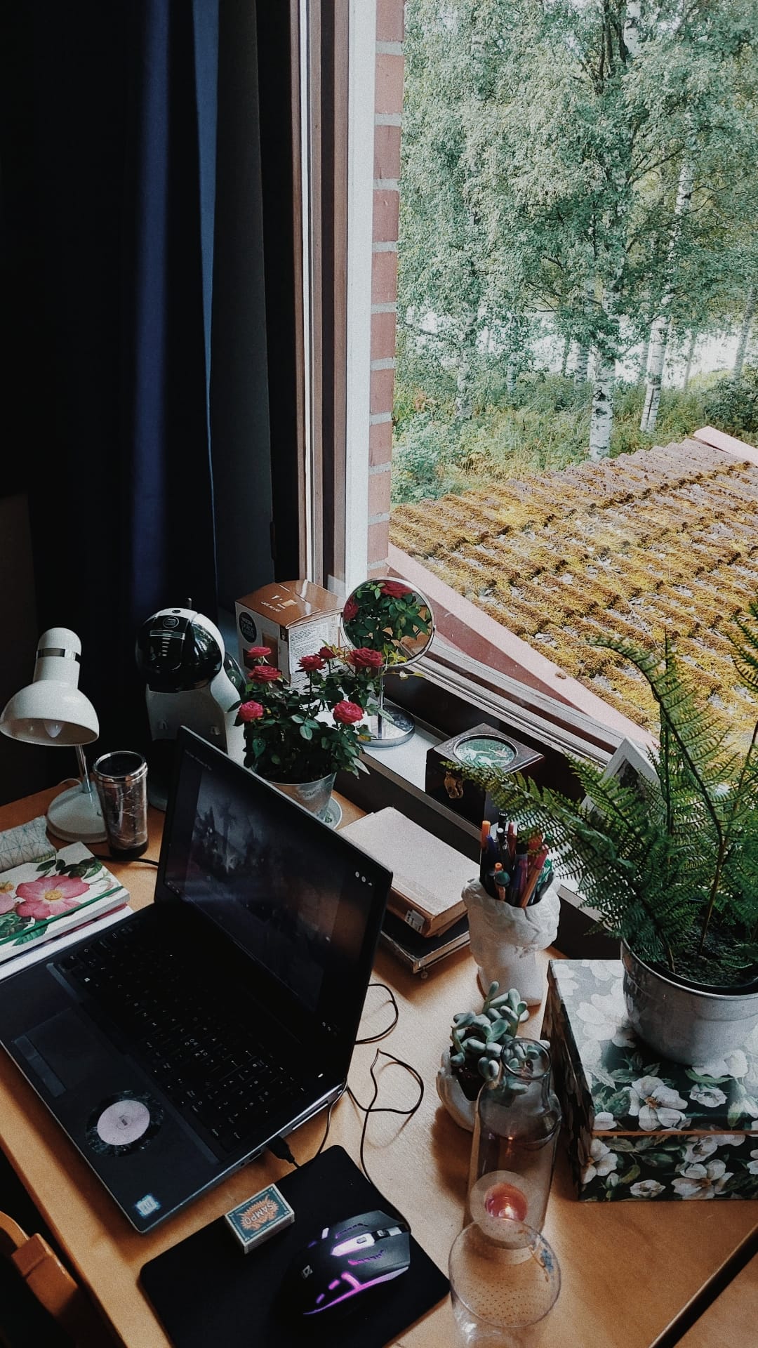 Opiskelijan pöytä, jolla tietokone ja kasveja
