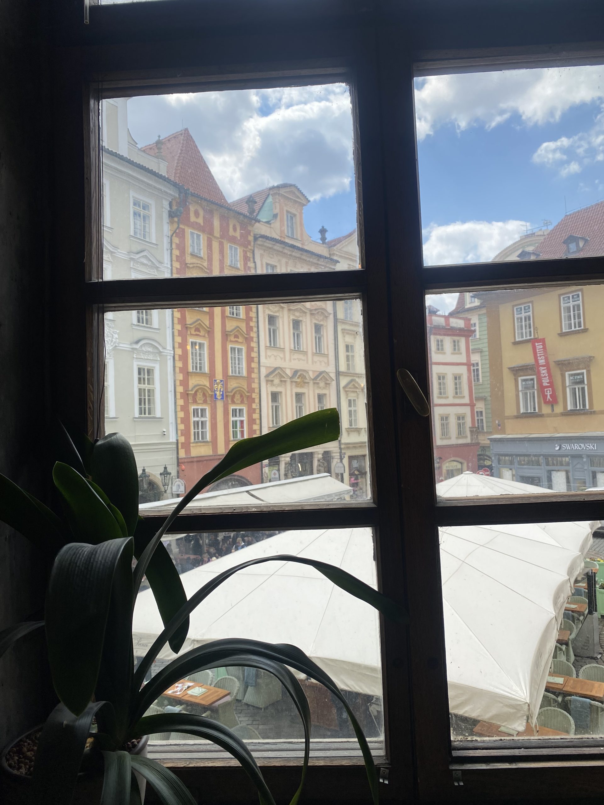 Pihlan asunnon ikkuna Prahassa