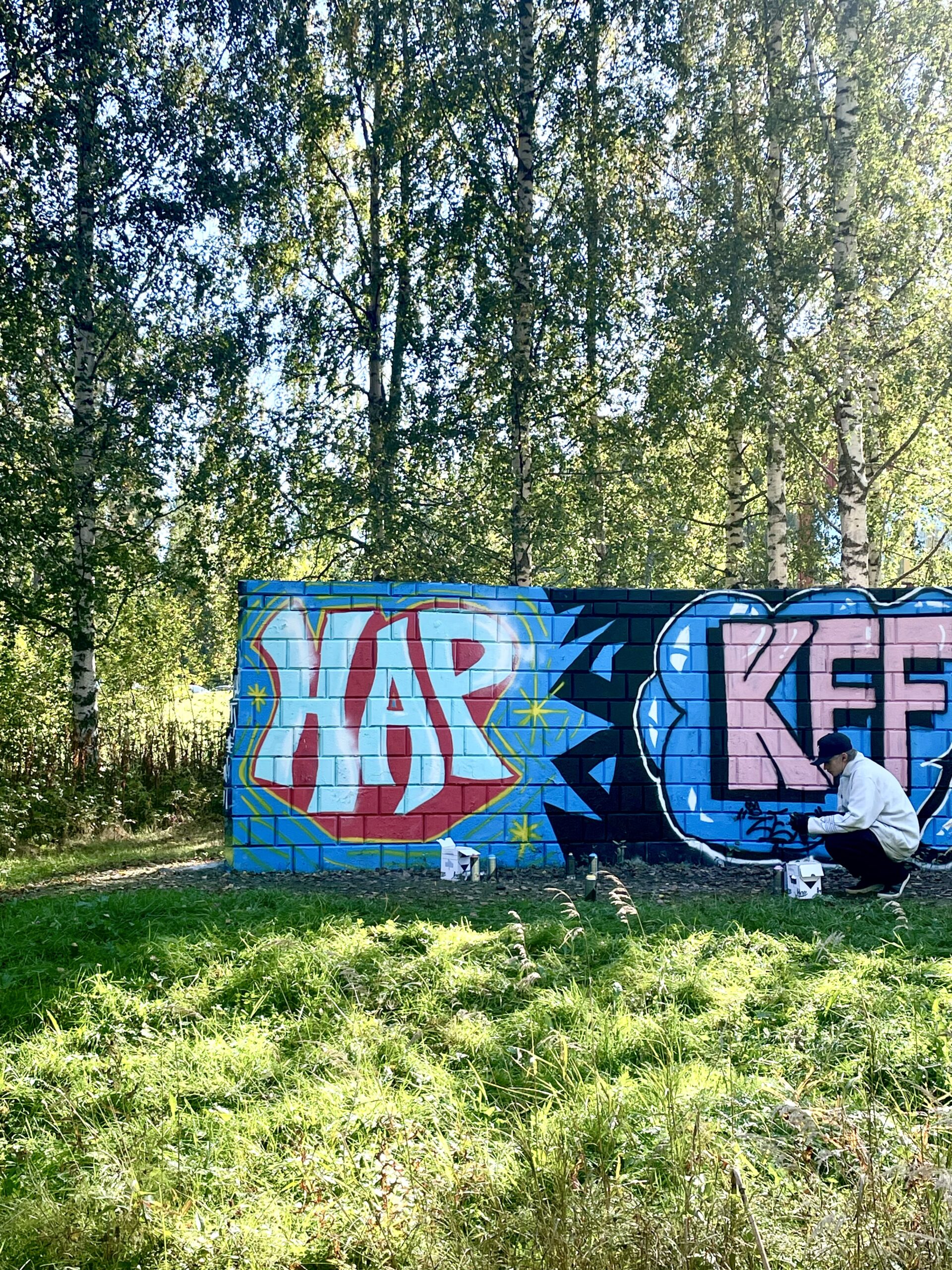 Alkio-opiston Hip hop -elementit -linjan graffitiseinä ulkona luonnossa kesällä. Graffitiseinän takana koivuja ja edeesä heinikkoa.