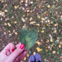 Kädessä sydämen muotoinen lehti. Syksyn lehtiä maassa.