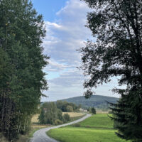 Upeat lenkkimaisemat Alkio-opistolla. Tie peltoaukeaman keskellä sekä puita.