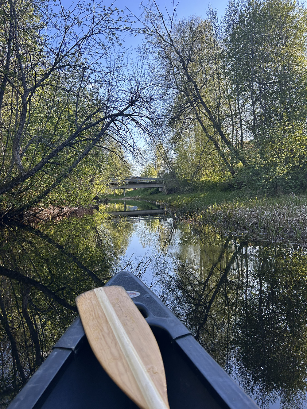 Kanoottiretkellä Päijänteen joella. Joen reunalla puita ja edessä näkyy silta.